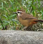 4蘢桭脈它篡紆厰诒馈781